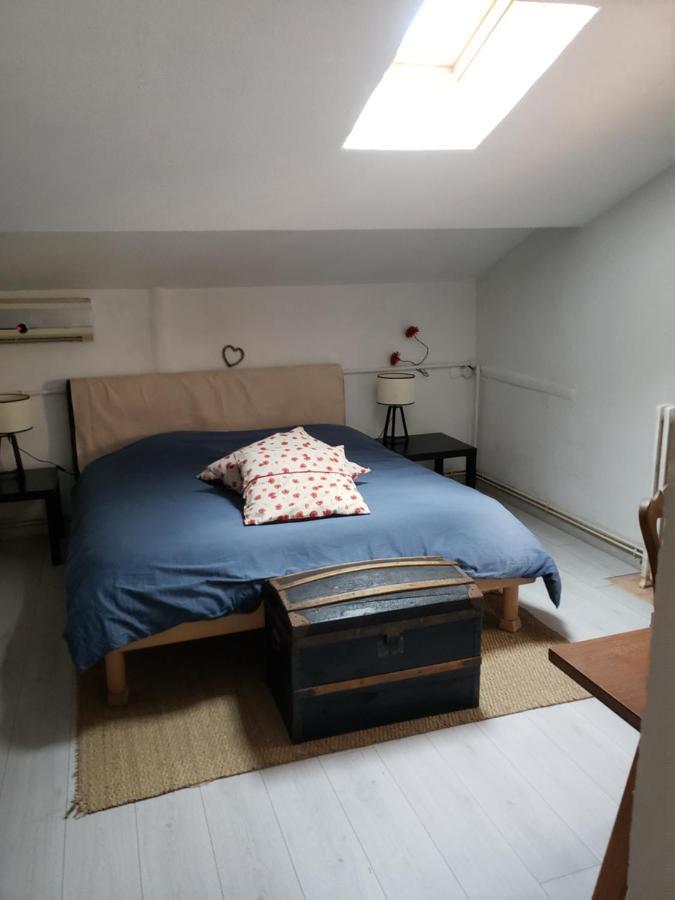Chambre Dans Une Grande Maison Entre Canal Du Midi Et Centre Ville Béziers Dış mekan fotoğraf