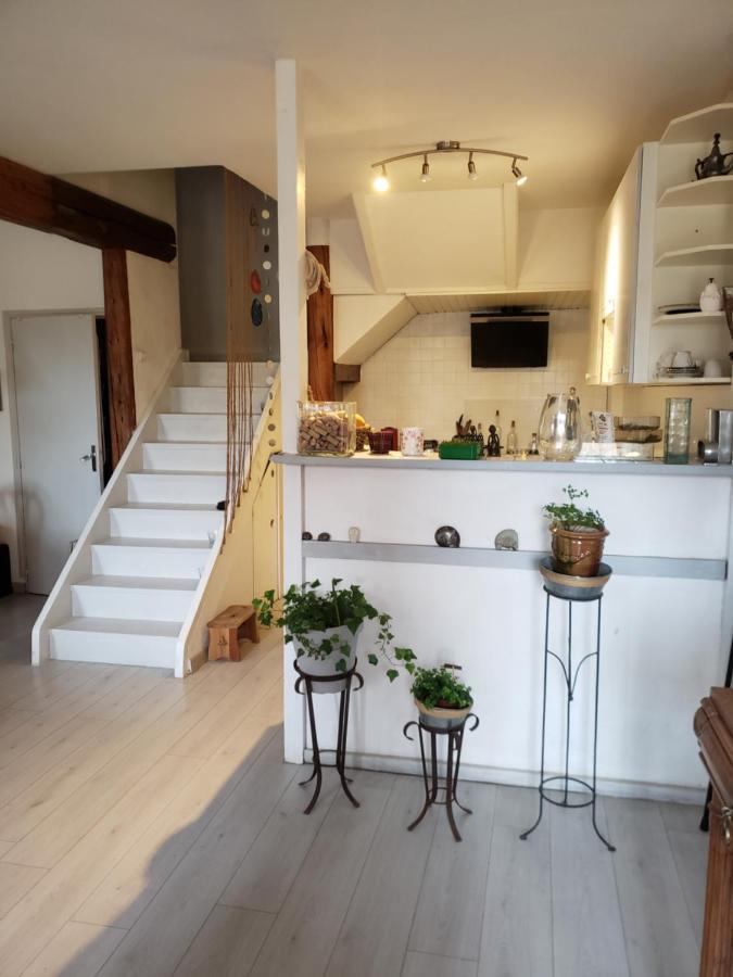 Chambre Dans Une Grande Maison Entre Canal Du Midi Et Centre Ville Béziers Dış mekan fotoğraf